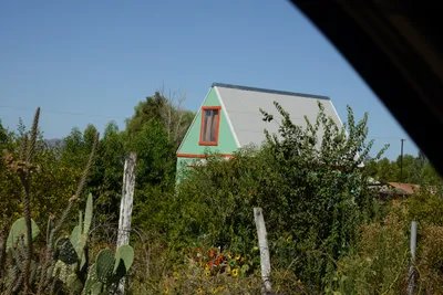 ENSC00283.jpg